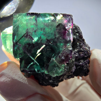 Spécimen de cube de fluorite fantôme parqueté vert violet Okorusu, Namibie 41*34*26mm 