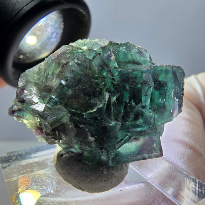 Spécimen de cube de fluorite fantôme, parqueté vert violet Okorusu, Namibie 27*24*17 mm 