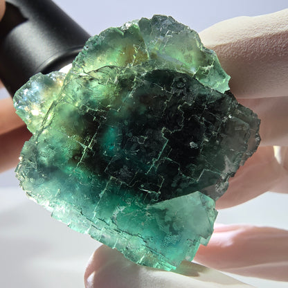 Spécimen de cube de fluorite fantôme transparente, vert parqueté, Okorusu, Namibie, 41 x 39 x 30 mm 