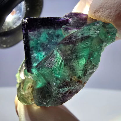 Spécimen de cube de fluorite fantôme parqueté vert violet Okorusu, Namibie 42*24*23mm 