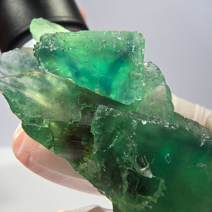 Spécimen de cube de fluorite fantôme transparente, vert parqueté, Okorusu, Namibie, 55 x 45 x 23 mm 