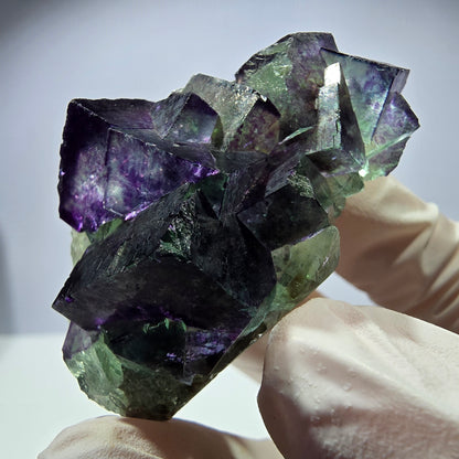 Spécimen de cube de fluorite fantôme, parqueté, zonal Okorusu, Namibie 51 x 30 x 24 mm 