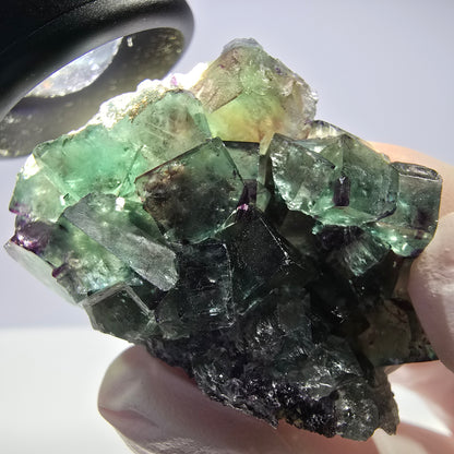 Spécimen de cube de fluorite fantôme parqueté vert violet Okorusu, Namibie 51*31*22mm 