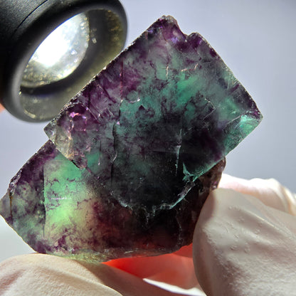 Spécimen de cube de fluorite fantôme parqueté vert violet Okorusu, Namibie 34*26*21mm 