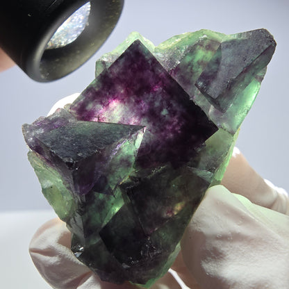 Spécimen de cube de fluorite fantôme parqueté vert violet Okorusu, Namibie 48*26*26mm 