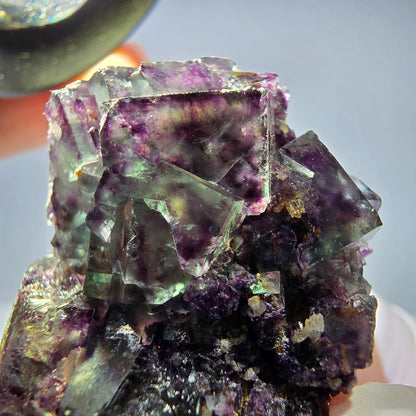 Spécimen de cube de fluorite fantôme parqueté vert violet Okorusu, Namibie 49*27*17mm 