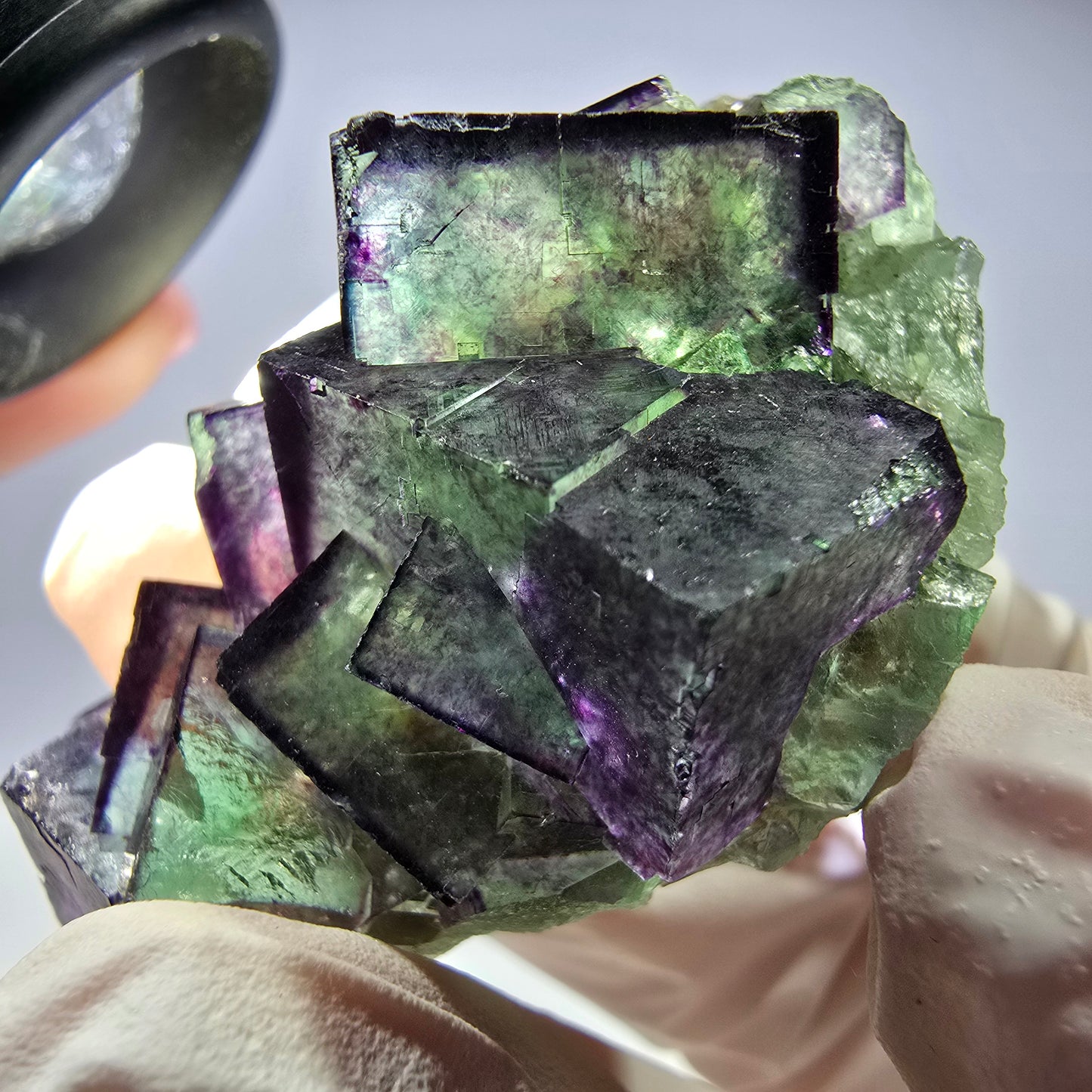 Spécimen de cube de fluorite fantôme, parqueté, zonal Okorusu, Namibie 51 x 30 x 24 mm 