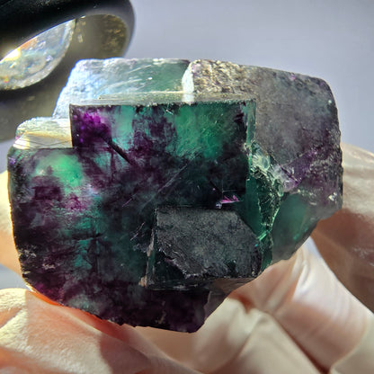 Spécimen de cube de fluorite fantôme parqueté vert violet Okorusu, Namibie 42*38*25mm 