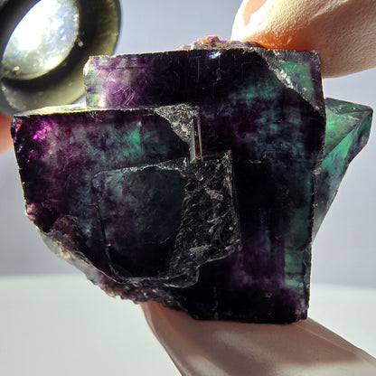 Spécimen de cube de fluorite fantôme parqueté vert violet Okorusu, Namibie 45*34*22mm 