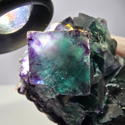 Spécimen de cube de fluorite fantôme, parqueté vert violet Okorusu, Namibie 59*46*39 mm 