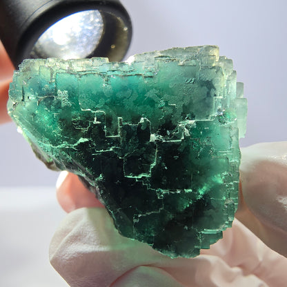 Spécimen de cube de fluorite fantôme transparente, vert parqueté, Okorusu, Namibie, 41 x 39 x 30 mm 