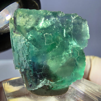 Clear Phantom Fluorite Cube parquetted, green Okorusu, Namibia 26*23*14mm 