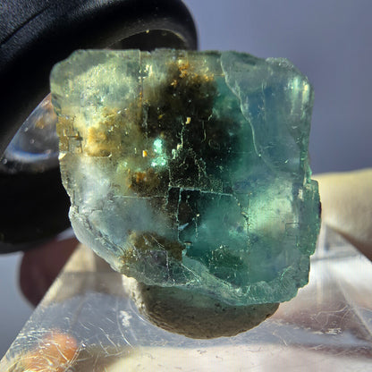 Clear Phantom Fluorite Cube parquetted, green Okorusu, Namibia - 17*16*15mm