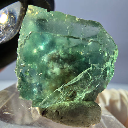Clear Phantom Fluorite Cube parquetted, green Okorusu, Namibia 19*17*14mm 