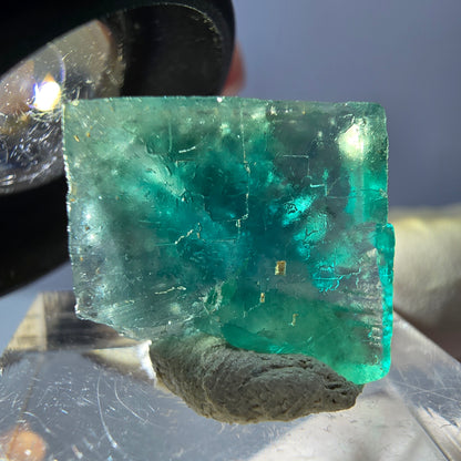 Clear Phantom Fluorite Cube parquetted, green Okorusu, Namibia 17*15*10mm 