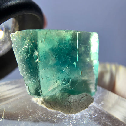Clear Phantom Fluorite Cube parquetted, green Okorusu, Namibia 17*15*10mm 