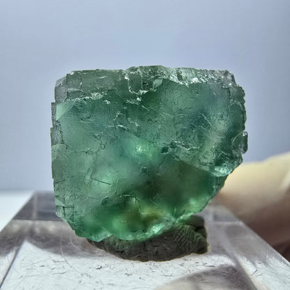 Clear Phantom Fluorite Cube parquetted, green Okorusu, Namibia - 18*16*14mm