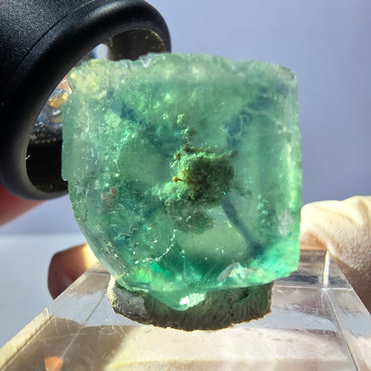 Clear Phantom Fluorite Cube parquetted, green Okorusu, Namibia 20*19*14mm 