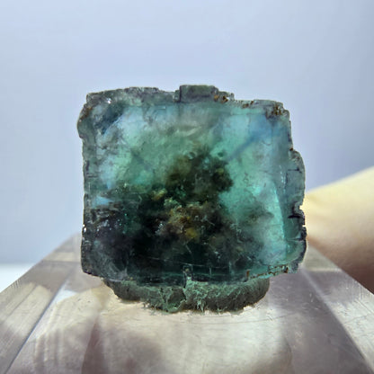 Klarer Phantom Fluorit Würfel parkettiert, grün Okorusu, Namibia 15*13*12mm