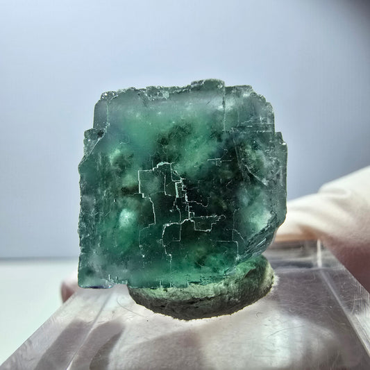 Klarer Phantom Fluorit Würfel parkettiert, grün Okorusu, Namibia 18*18*15mm