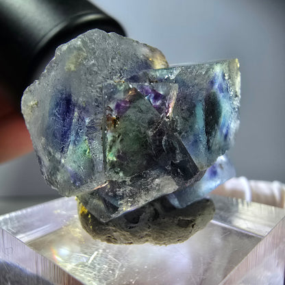 Seltene Phantom Fluorit Würfel Stufe, grün lila Okorusu, Namibia 26*21*15mm