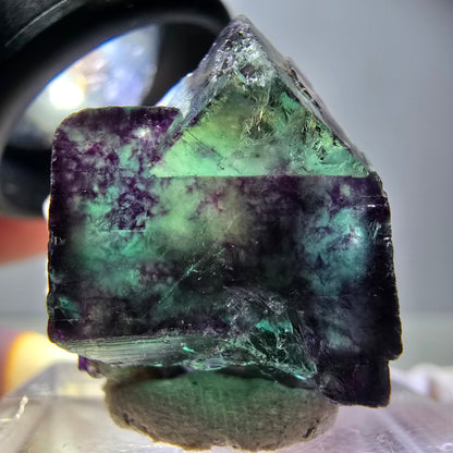 Seltene Phantom Fluorit Würfel Stufe, grün lila Okorusu, Namibia 22*22*14mm