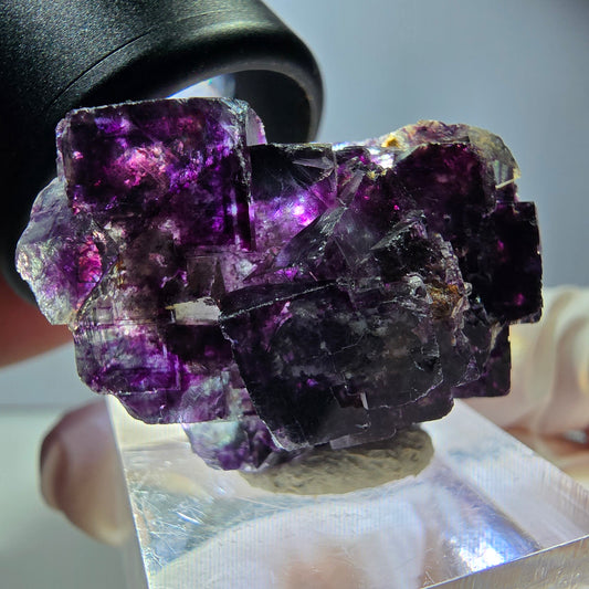 Seltene Phantom Fluorit Würfel Stufe, grün lila Okorusu, Namibia 36*23*15mm