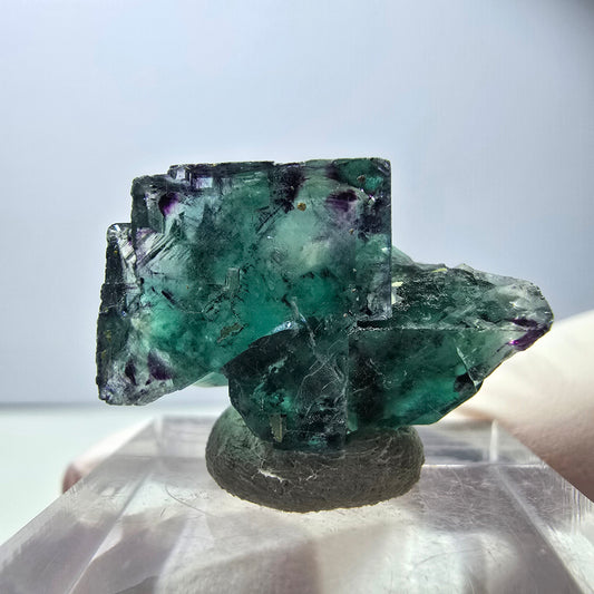 Seltene Phantom Fluorit Würfel Stufe, grün lila Okorusu, Namibia 24*17*12mm