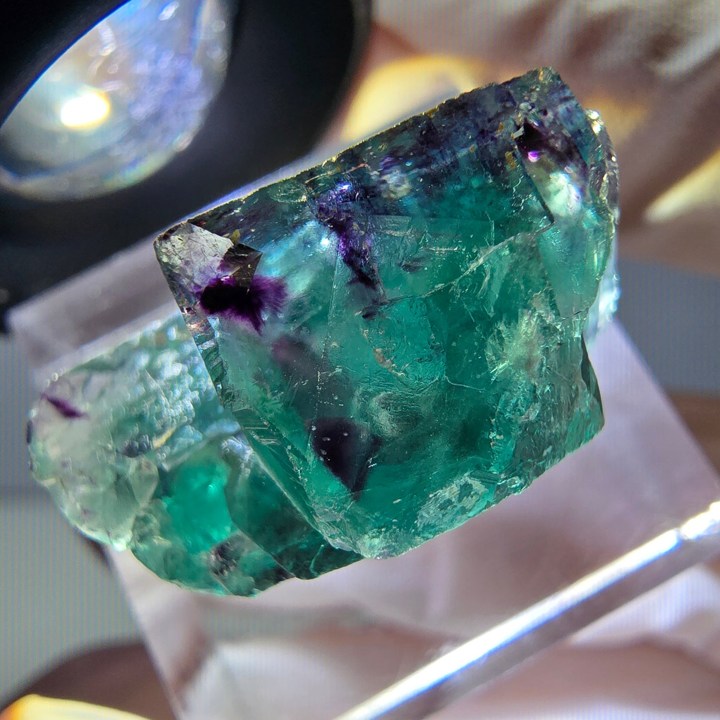 Seltene Phantom Fluorit Würfel Stufe, grün lila Okorusu, Namibia 24*17*12mm