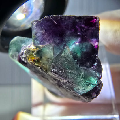 Seltene Phantom Fluorit Würfel Stufe, grün lila Okorusu, Namibia 29*23*16mm