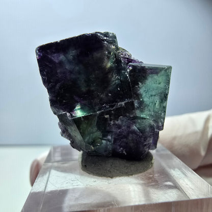 Seltene Phantom Fluorit Würfel Stufe, grün lila Okorusu, Namibia 29*23*16mm