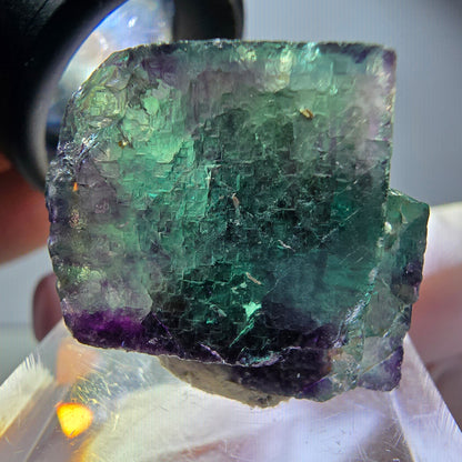 Seltene Phantom Fluorit Würfel Stufe, grün lila Okorusu, Namibia 30*25*21mm