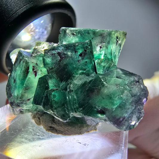 Seltene Phantom Fluorit Würfel Stufe, grün lila Okorusu, Namibia 31*23*16mm