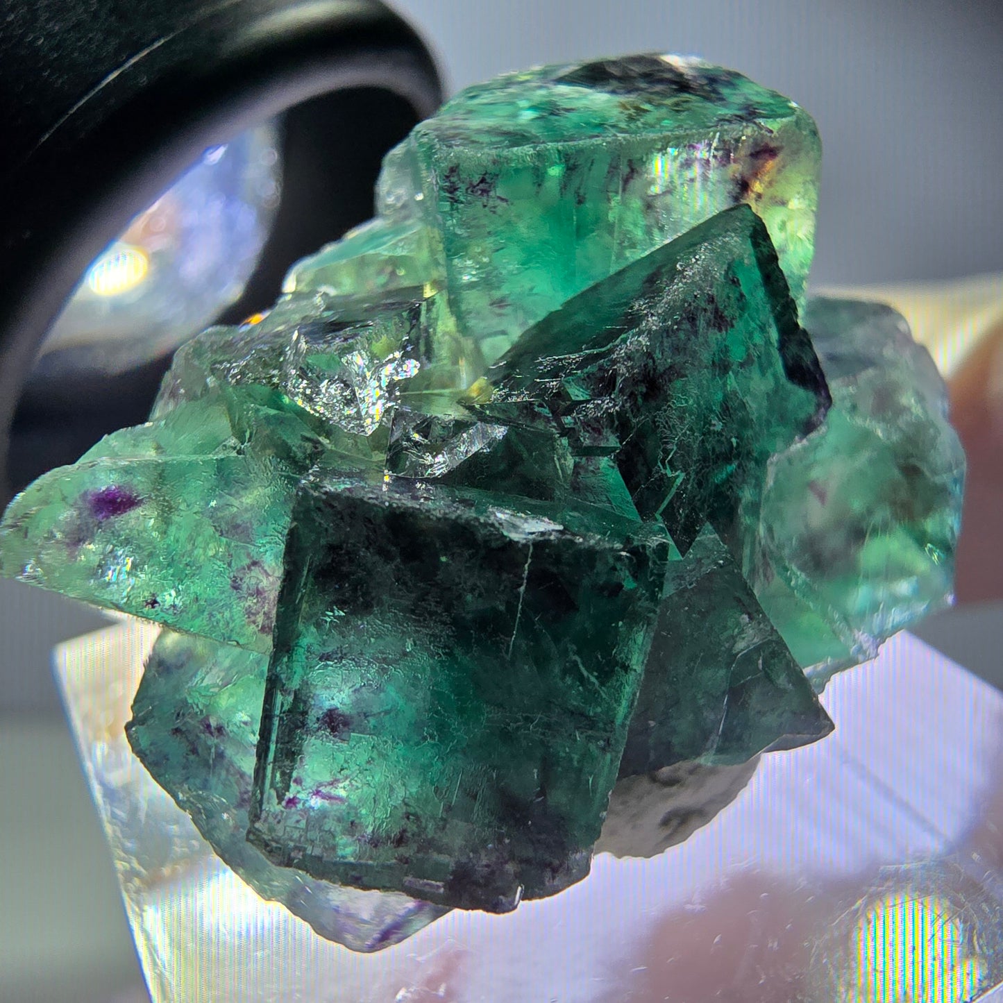 Seltene Phantom Fluorit Würfel Stufe, grün lila Okorusu, Namibia 31*23*16mm