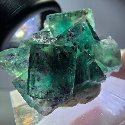 Seltene Phantom Fluorit Würfel Stufe, grün lila Okorusu, Namibia 31*23*16mm