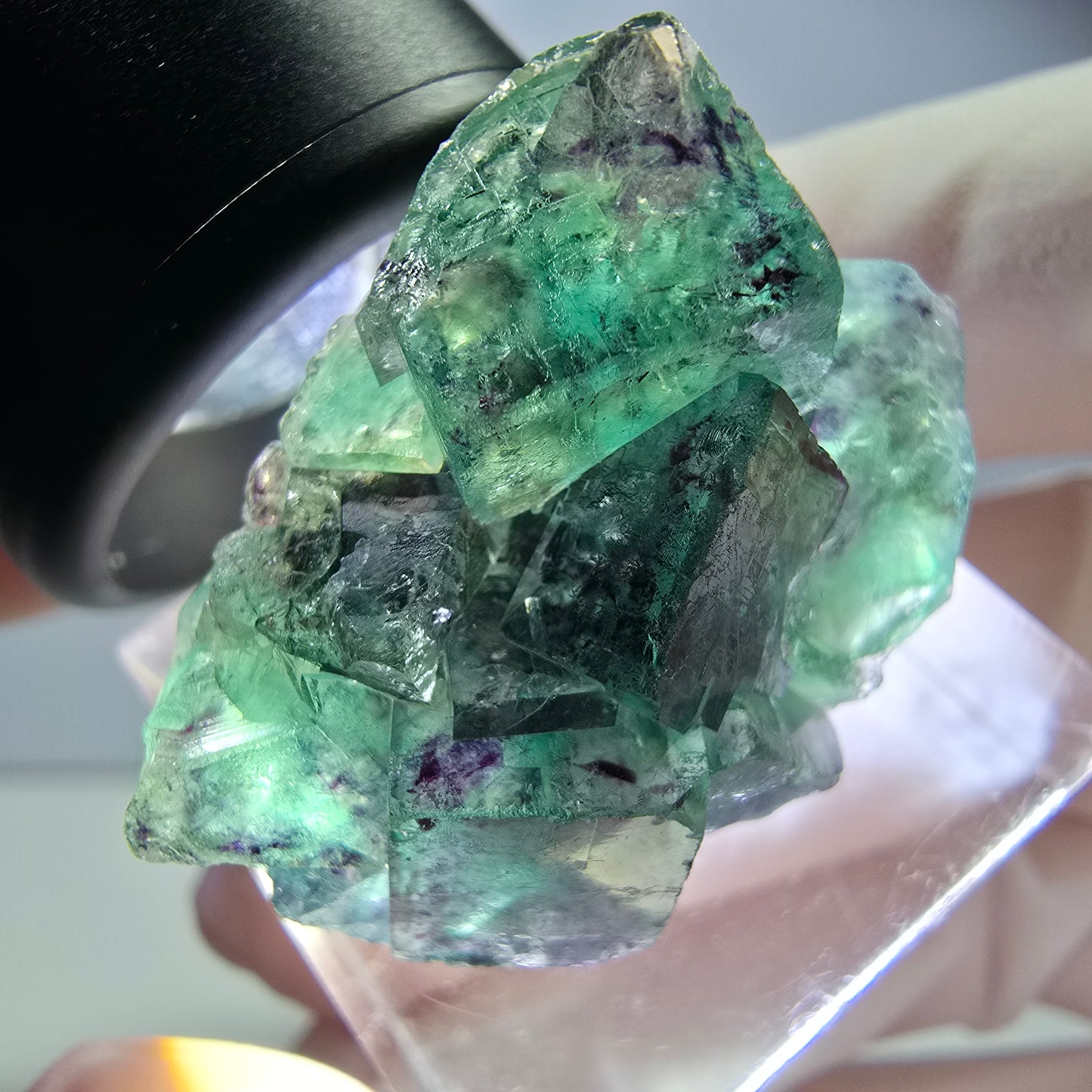 Seltene Phantom Fluorit Würfel Stufe, grün lila Okorusu, Namibia 31*23*16mm