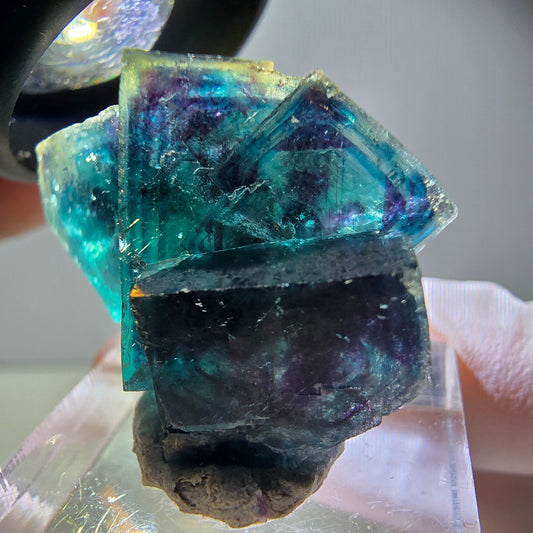 Rare Phantom Fluorite Cube Specimen, purple blue Butterfly Pocket Okorusu Namibia 33*24*15mm 