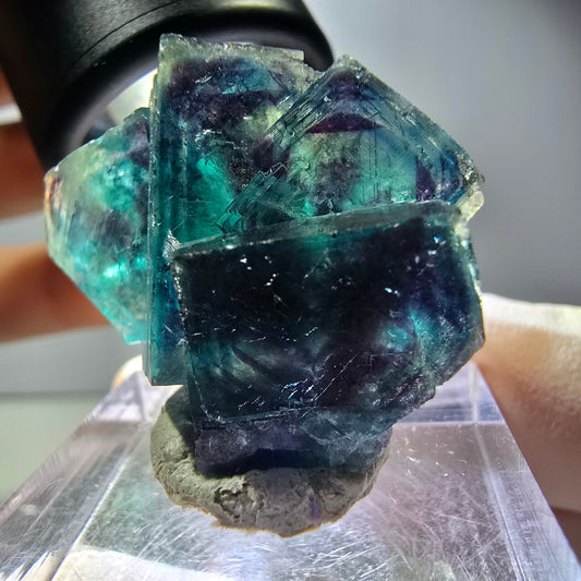 Seltene Phantom Fluorit Würfel Stufe, lila blau Butterfly Pocket Okorusu Namibia 33*24*15mm