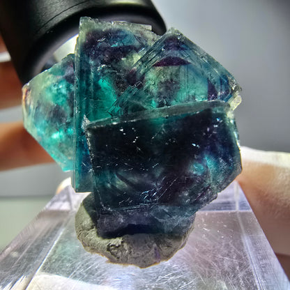 Rare Phantom Fluorite Cube Specimen, purple blue Butterfly Pocket Okorusu Namibia 33*24*15mm 