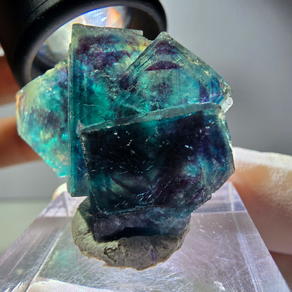 Rare Phantom Fluorite Cube Specimen, purple blue Butterfly Pocket Okorusu Namibia 33*24*15mm 