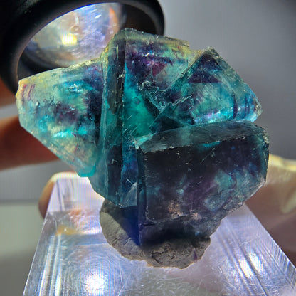 Rare Phantom Fluorite Cube Specimen, purple blue Butterfly Pocket Okorusu Namibia 33*24*15mm 