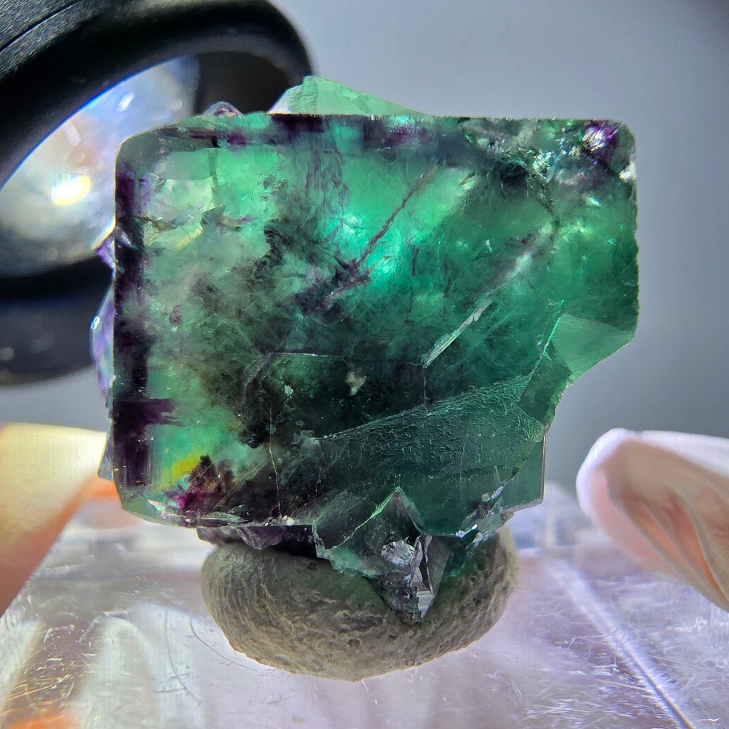 Rare spécimen de cube de fluorite fantôme, vert-violet, Okorusu, Namibie, 25 x 21 x 19 mm 