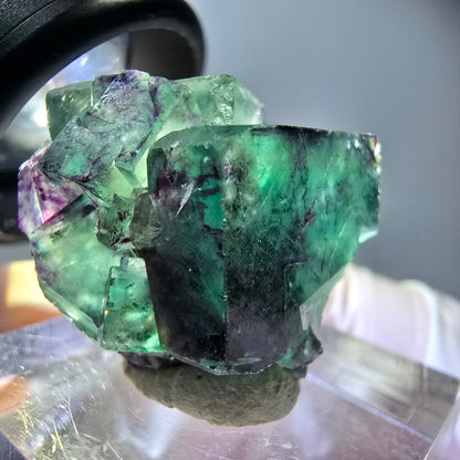 Rare spécimen de cube de fluorite fantôme, vert-violet, Okorusu, Namibie, 25 x 21 x 19 mm 