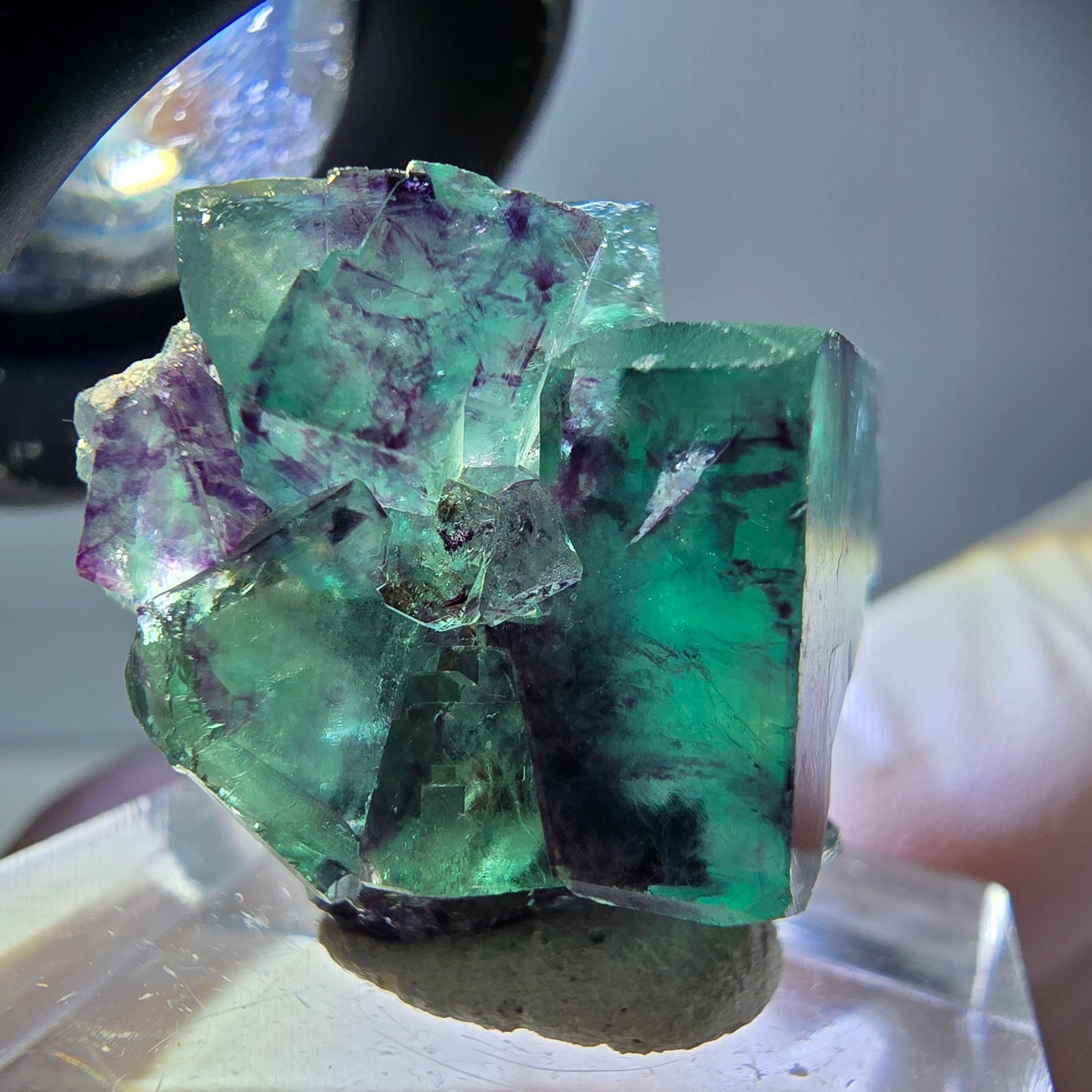 Rare spécimen de cube de fluorite fantôme, vert-violet, Okorusu, Namibie, 25 x 21 x 19 mm 