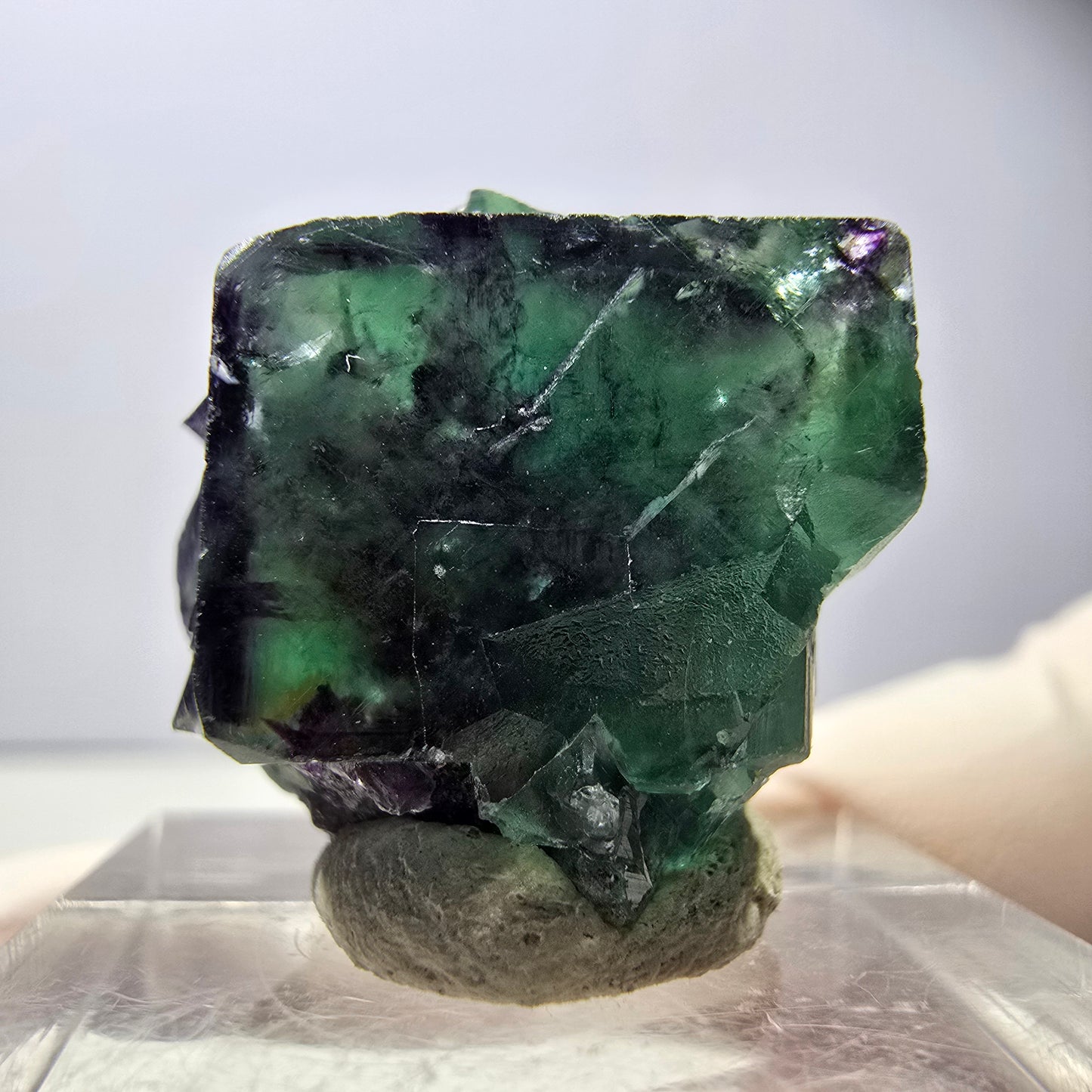 Rare spécimen de cube de fluorite fantôme, vert-violet, Okorusu, Namibie, 25 x 21 x 19 mm 