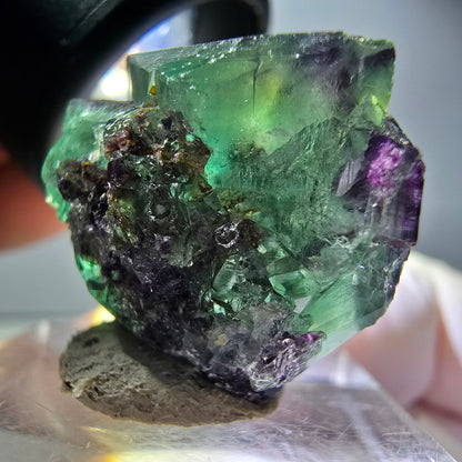 Rare spécimen de cube de fluorite fantôme, vert-violet, Okorusu, Namibie, 25 x 21 x 19 mm 