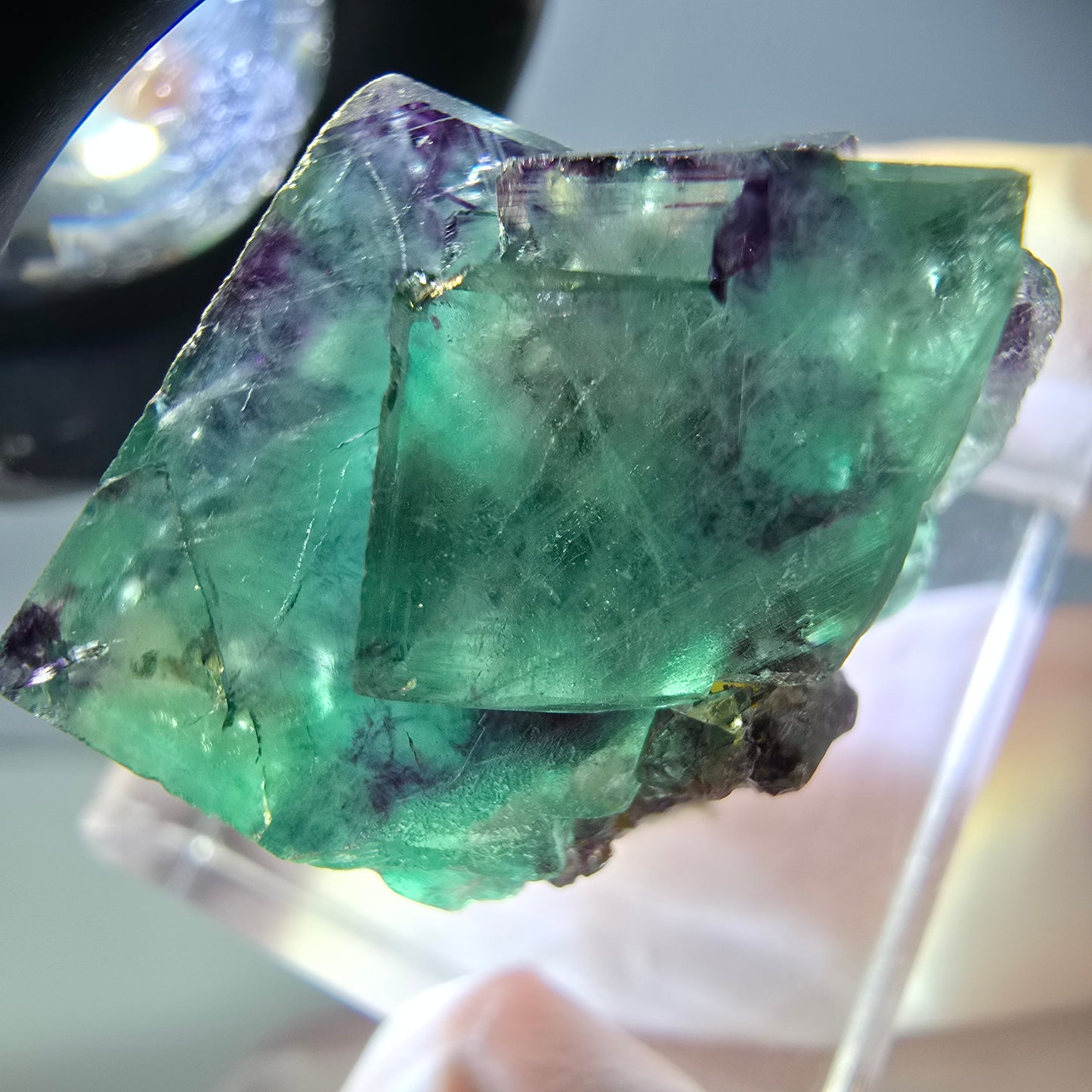 Rare spécimen de cube de fluorite fantôme, vert-violet, Okorusu, Namibie, 25 x 21 x 19 mm 