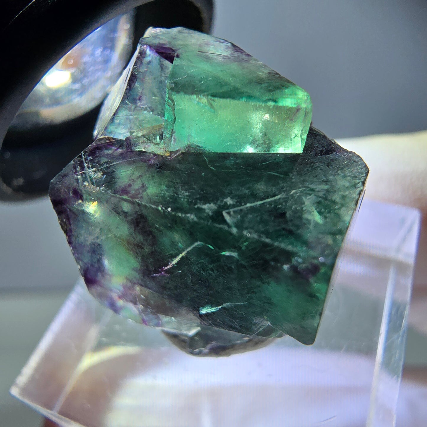 Rare spécimen de cube de fluorite fantôme, vert-violet, Okorusu, Namibie, 25 x 21 x 19 mm 
