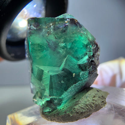 Rare spécimen de cube de fluorite fantôme, vert-violet, Okorusu, Namibie, 25 x 21 x 19 mm 