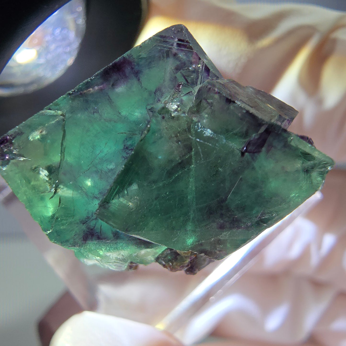 Rare spécimen de cube de fluorite fantôme, vert-violet, Okorusu, Namibie, 25 x 21 x 19 mm 